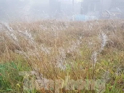 Nhiệt độ xuống 0 độ C, băng giá xuất hiện trên đỉnh Mẫu Sơn