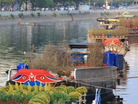 Chợ hoa 'Trên bến dưới thuyền' ở TP.HCM rộn ràng sắc xuân