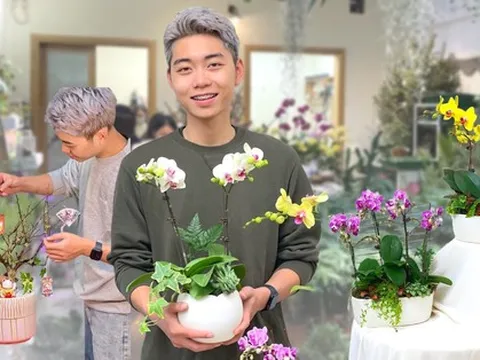 Cây cảnh mini giá mềm lên ngôi, chủ tiệm cây kiếm 7 triệu đồng/ngày dịp cận Tết Nguyên đán