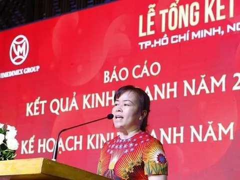 Chủ tịch Vimedimex cùng 8 đồng phạm bị truy tố vì 'bắt tay' dìm giá đất