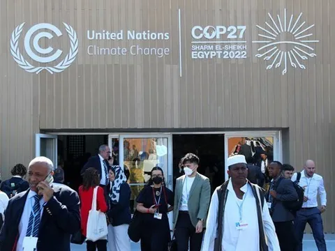 Thúc đẩy ứng phó biến đổi khí hậu toàn cầu bằng hành động doanh nghiệp