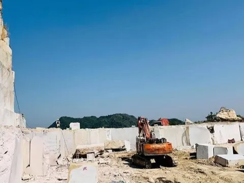 Công ty khai khoáng và quản lý tài sản FLC (GAB) chính thức có Chủ tịch mới