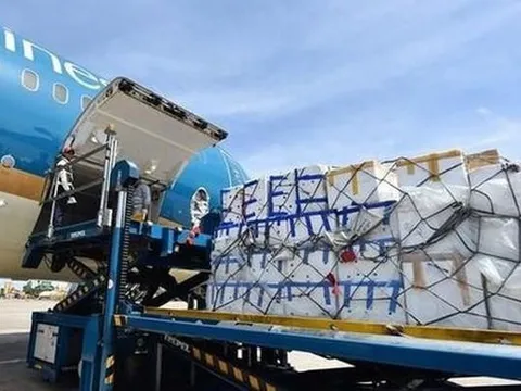 Thu 10 đồng lãi 8 đồng, một công ty dịch vụ hàng không lãi năm 2022 đạt kỷ lục với 646 tỷ đồng