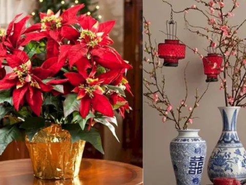 10 loài hoa được chưng Tết nhiều nhất: Không chỉ rực rỡ mà còn mang ý nghĩa phong thủy tốt đẹp
