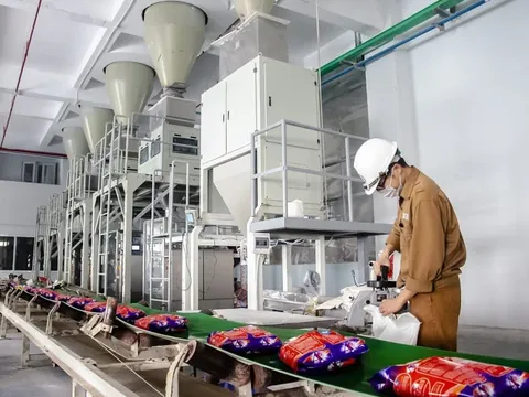 Hoá chất Đức Giang (DGC): Quý 4 tăng trưởng âm, cả năm 2022 vẫn đạt kỷ lục với 6.375 tỷ đồng lợi nhuận trước thuế, EPS đạt 38.000 đồng