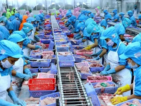 “Trượt chân” mảng BĐS, IDI vẫn thu đều 660 tỷ đồng doanh thu mỗi tháng