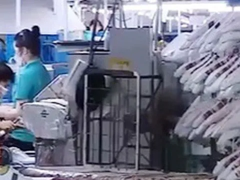 Tái cơ cấu ngành Công Thương để thúc đẩy chuyển dịch cơ cấu nền kinh tế