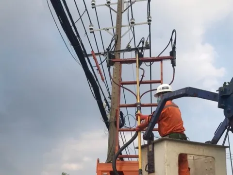 TP HCM: Không một giây, một phút nào không an toàn cho lưới điện