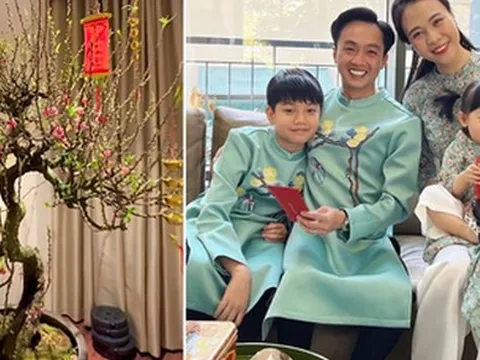 Tết nhà sao Việt: Á hậu Mâu Thuỷ tậu chậu mai cao 2 mét, vợ chồng Cường Đô La - Đàm Thu Trang chưng mai đào quất kín nhà