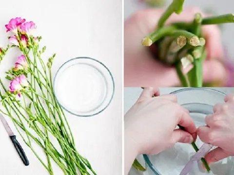Mẹo giữ hoa tươi lâu gấp 2 lần để chơi Tết