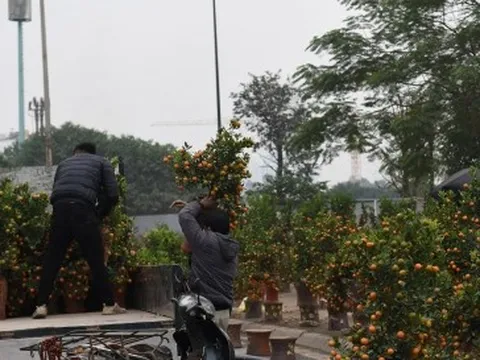 Hàng Tết ế ẩm, người buôn bán ồ ạt xả hàng vẫn vắng khách