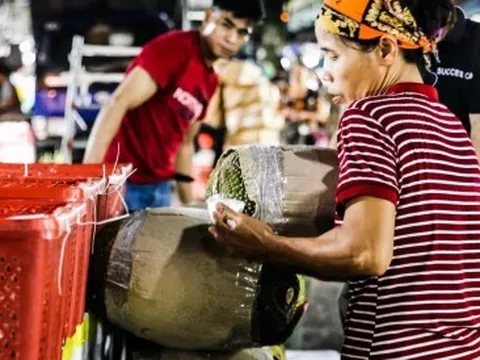 Phận cửu vạn kéo hàng xuyên đêm đông giá rét, vẫn lo cái Tết thiếu bánh chưng