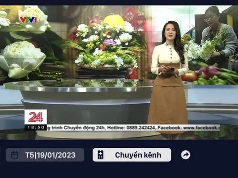 Nền tảng VTVgo cung cấp 7 kênh truyền hình thiết yếu quốc gia