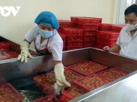 FDI của Việt Nam có thể đạt tới 38 tỷ USD trong năm 2023