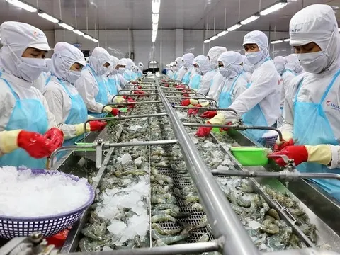 Kỷ lục xuất khẩu 11 tỷ USD, doanh nghiệp thủy sản ‘hái ra tiền’ thế nào?