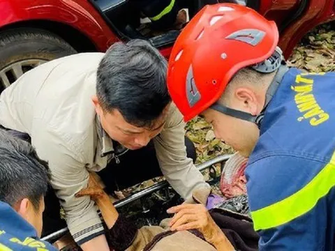 Cứu cụ bà ở Đắk Lắk bị rơi xuống vực sâu 15m