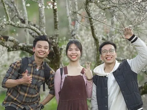 Không hẹn mà gặp, ba mùa hoa xuân Mộc Châu cùng nở đúng dịp Tết