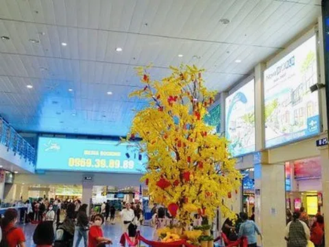 Bất ngờ lượng khách qua sân bay Tân Sơn Nhất ngày Tết