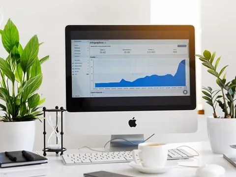 Năm mới tới, mách bạn cách chọn cây cảnh phù hợp với từng phòng để hút tài lộc