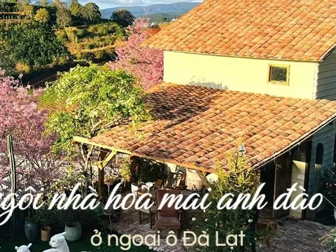 Ngôi nhà nhỏ 40m2 ở ngoại ô Đà Lạt ngập tràn hoa mai anh đào: Không gian cổ điển hài hoa, tầm nhìn ai cũng mê mẩn