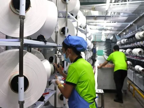 Lỗ chênh lệch tỉ giá, Sợi Thế Kỷ báo lãi đi lùi trong năm 2022