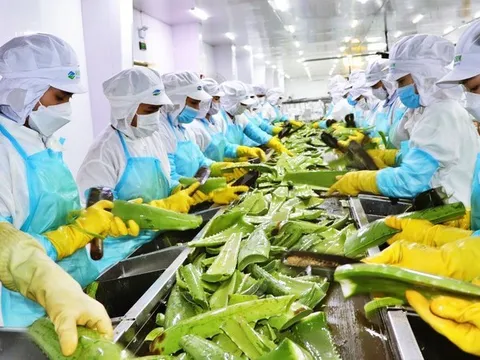 Triển vọng xuất khẩu Việt Nam năm 2023 - Bài 1: Tín hiệu tích cực