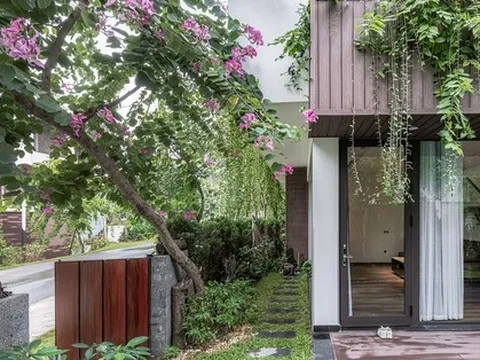 Về Vĩnh Phúc, cặp vợ chồng xây biệt thự song lập 450m2 xanh tươi kèm bể bơi để nghỉ dưỡng "trốn khói bụi"