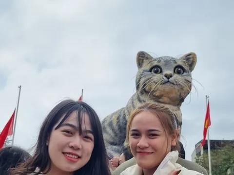 Mồng 5 tết, 'hoa hậu mèo' Quảng Trị vẫn hút đông người tới chụp hình