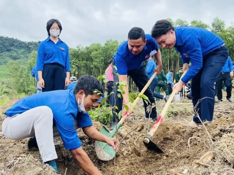 Khánh Hòa: Hàng ngàn cây xanh được trồng mới trong mùa xuân