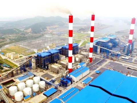 Lãi quý IV giảm 86%, Nhiệt điện Quảng Ninh vẫn vượt kế hoạch lợi nhuận cả năm