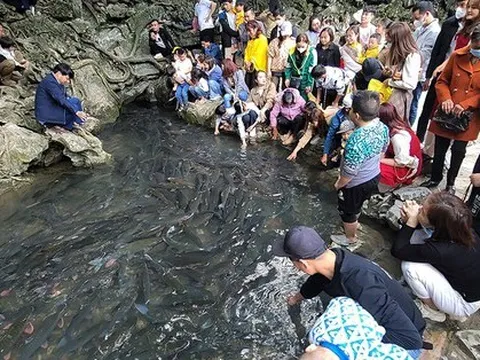Hàng nghìn du khách đổ về thăm suối cá thần ngày cuối nghỉ Tết Nguyên đán Quý Mão
