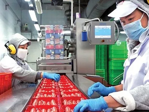 Trên 90% lao động trở lại TP Hồ Chí Minh làm việc sau Tết