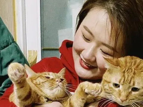 Kiếm 34 triệu nhờ dịch vụ đến tận nhà để cho mèo ăn dịp Tết