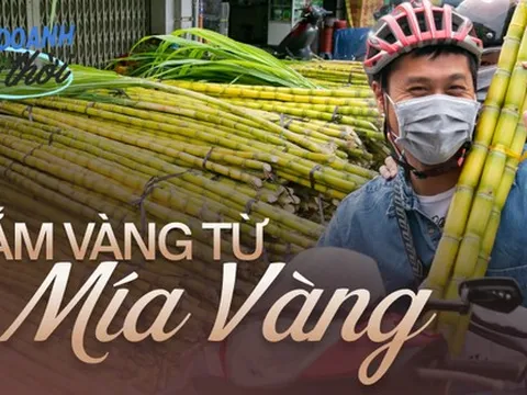 Kiếm hàng chục triệu chưa đầy 24 giờ nhờ phong tục mua mía vàng cúng vía Trời ở Sài Gòn