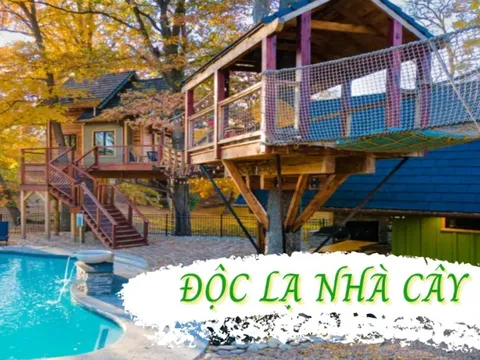 Cụ ông 60 tuổi dốc sạch tiền tiết kiệm để xây một ngôi nhà trên cây, vừa ở vừa cho thuê kiếm thêm tiền rồi rao bán tới 1,25 triệu USD