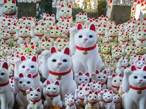 Các biểu tượng may mắn trên thế giới: Khi vảy cá chép cũng được tin là đem lại phước lành