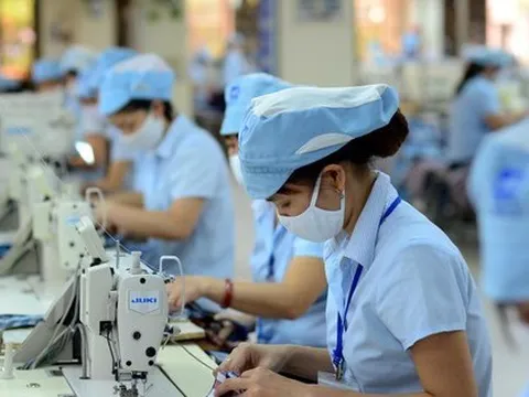 Xuất nhập khẩu hàng hóa của Việt Nam đột ngột giảm