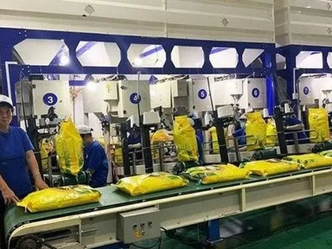"Chuyện buồn" của gạo Trung An: Doanh thu kỷ lục, lợi nhuận hụt hơi