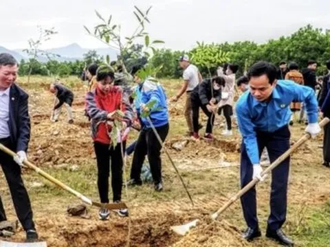 Đà Nẵng trồng 1.000 cây phủ xanh Khu công nghệ cao