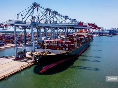 Tổng Công ty Hàng hải Việt Nam lãi hơn 2.500 tỷ đồng năm 2022