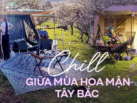 Rủ nhau đi cắm trại giữa vườn mận rực nở ở Mộc Châu
