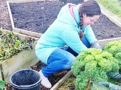 Khu vườn với đủ các loại rau và hoa của cặp vợ chồng trẻ yêu thiên nhiên