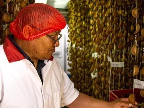 Loài hải sản ví như 'vàng trắng': 'Miếng cơm' của ngàn người nhưng cũng là nguồn cơn của tội phạm có tổ chức quốc tế