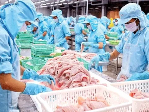 Nam Việt tiếp tục thay đổi lịch trả cổ tức năm 2021
