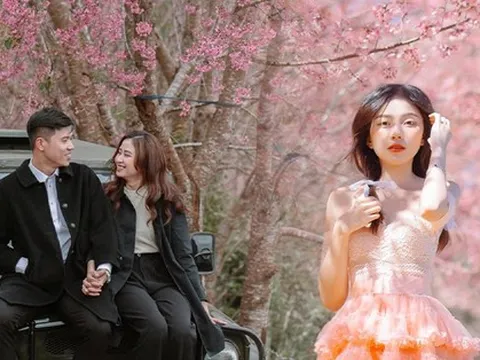 Những điểm du lịch ngắm hoa anh đào nên thơ tại các miền