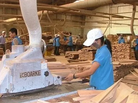 Vinafor hoàn thành kế hoạch 2022 nhờ khoản thu từ các công ty liên kết