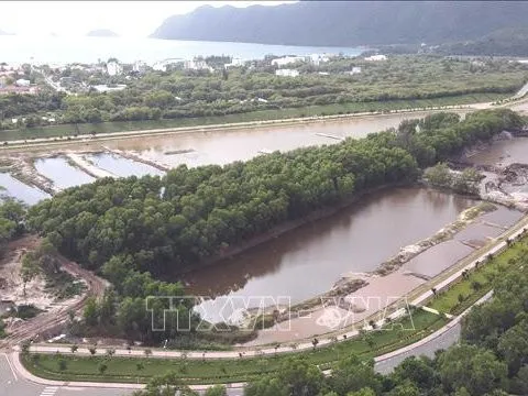 Phát triển kinh tế tuần hoàn - Bài 1: Giảm tác động môi trường