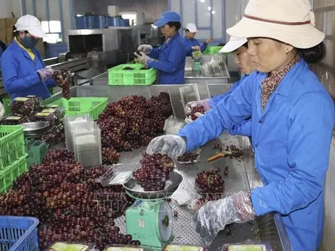 Phát triển kinh tế tuần hoàn - Bài cuối: Hướng đi mới cho nền kinh tế