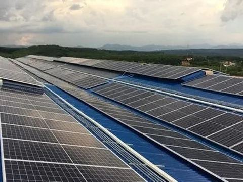 Năng lượng tái tạo giúp CRC lãi lớn vẫn không hoàn thành kế hoạch.