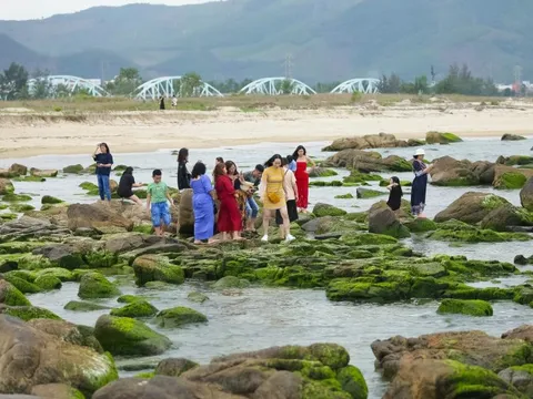 Người dân và du khách thích thú "check-in" mùa rêu xanh tại rạn Nam Ô
